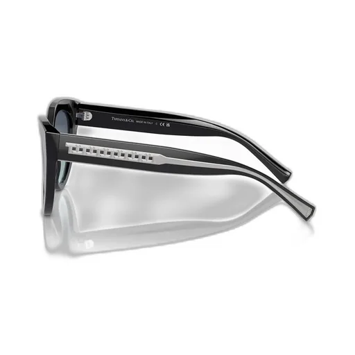 Cat-Eye Sunglasses