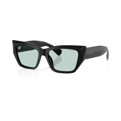 Cat-Eye Frame Sunglasses