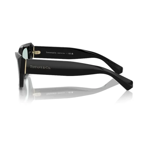 Cat-Eye Frame Sunglasses
