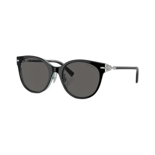 Full Frame Sunglasses