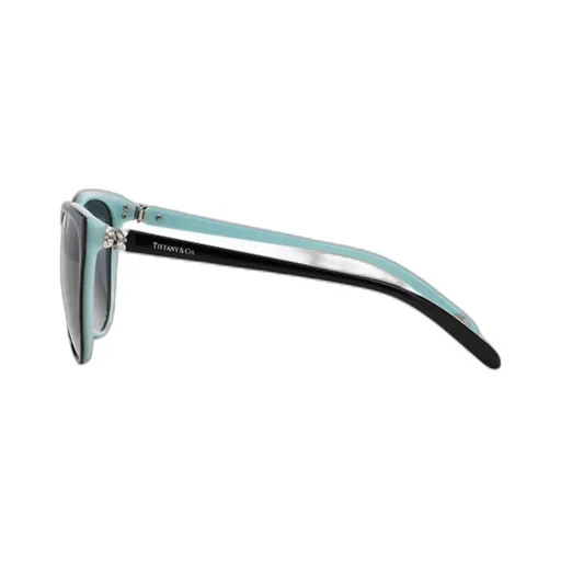 Cat's Eye Sunglasses