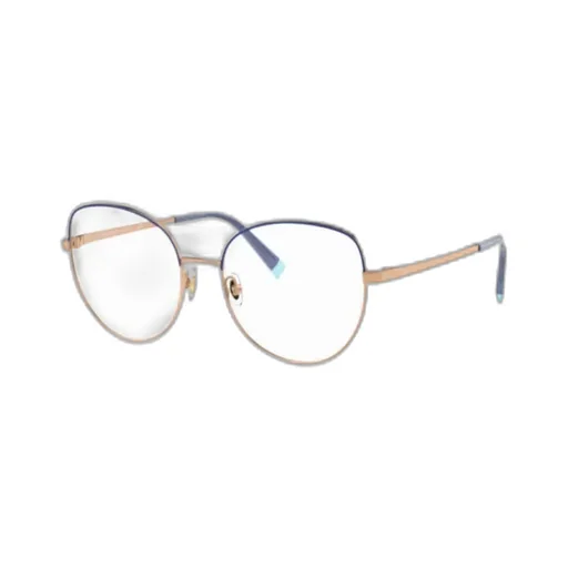 Cat-Eye Frame Glasses