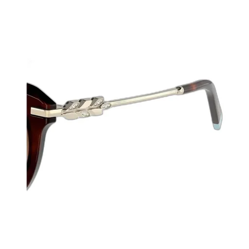 Cat's Eye Sunglasses