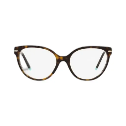 Cat-Eye Frame Glasses