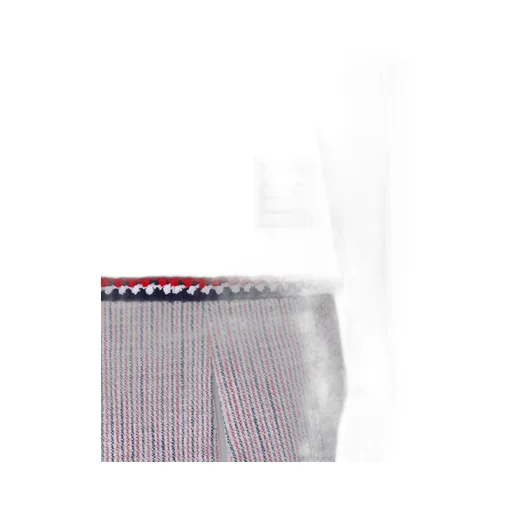 Rwb-Stripe Crewneck T-Shirt