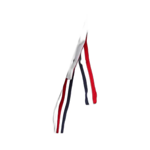 Rwb Stripe Polo Shirt