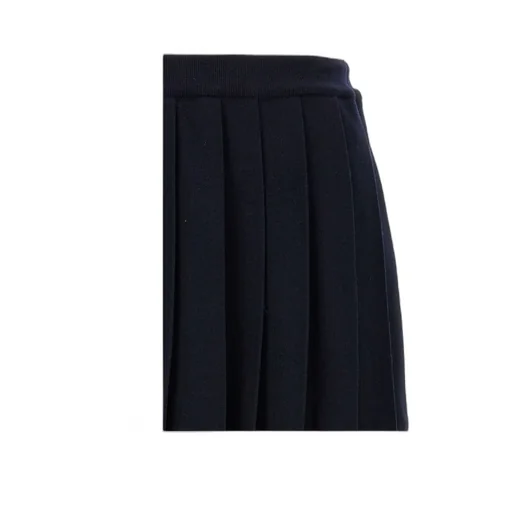 Pleated Full Needle Knitted Skirt