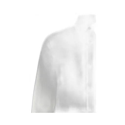 Pleated Long-Sleeved Shirt