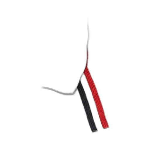 Rwb-Stripe Crewneck T-Shirt