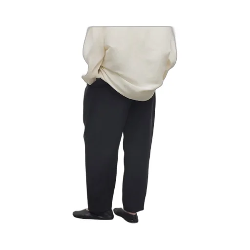 Pleated Trousers