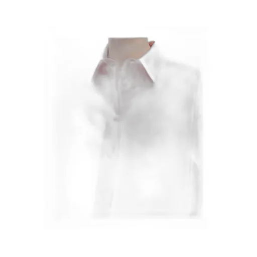 Millerina Shirt