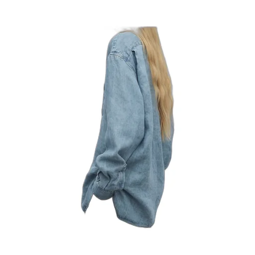 Nesson Button-Up Denim Shirt