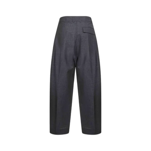Wide-Leg Pleated Pants