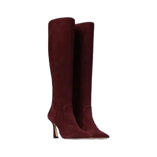 Pointed-Toe Boots