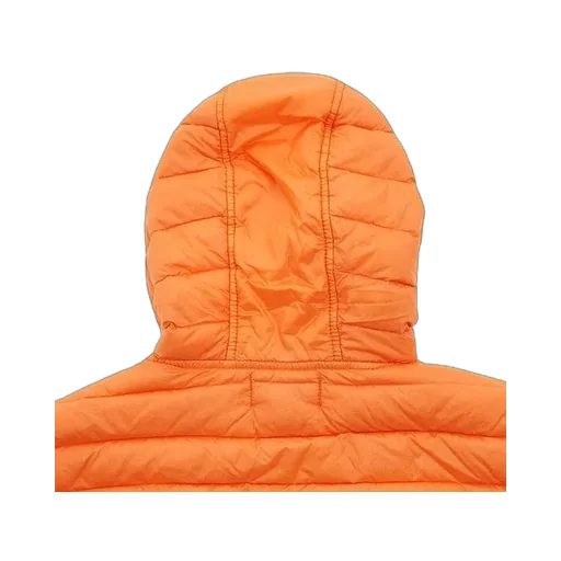 Hooded Down Jacket