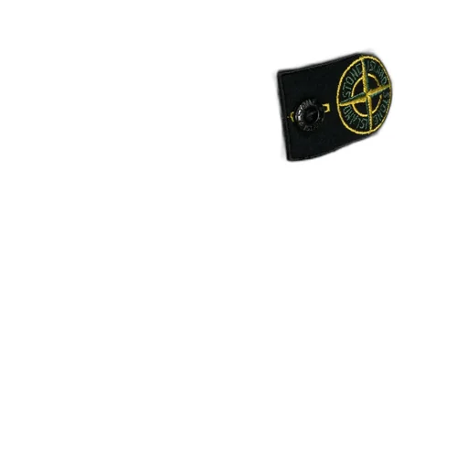 Compass-Appliqué Cargo Pants