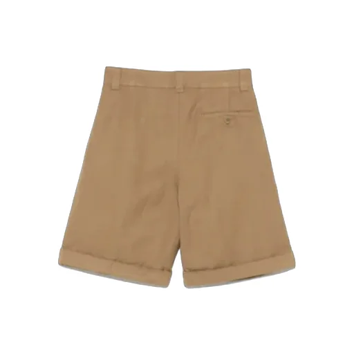Pleat-Detailed Shorts