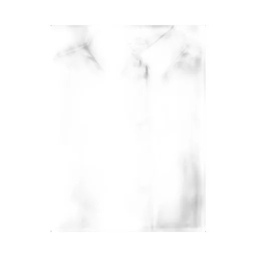 Long-Sleeved Button-Up Shirt