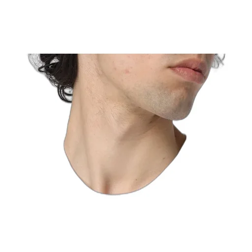 Round-Necked T-Shirt