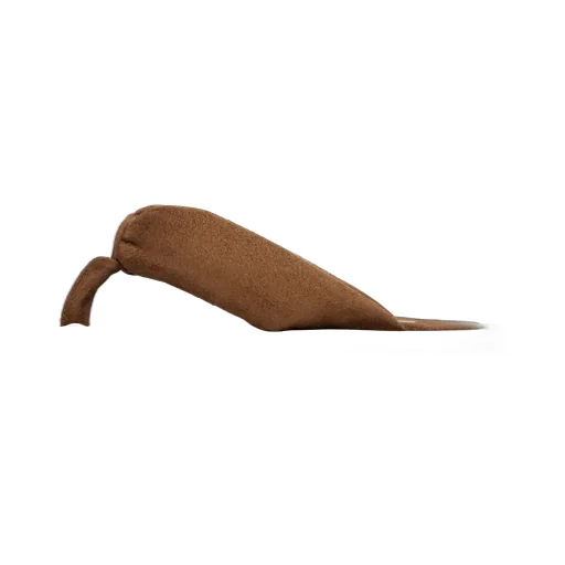 Indie Flip Flops