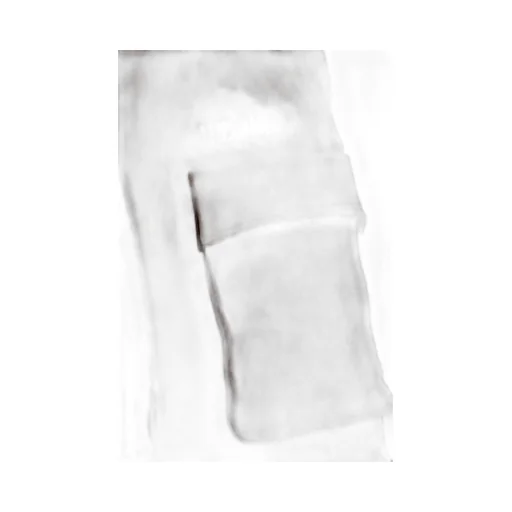Fern Long Pants