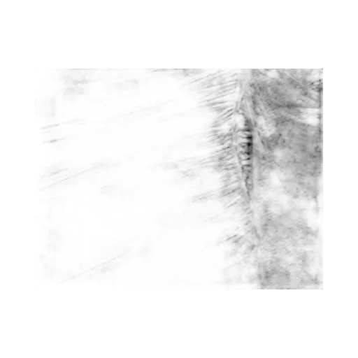 Halterneck Ruched Top