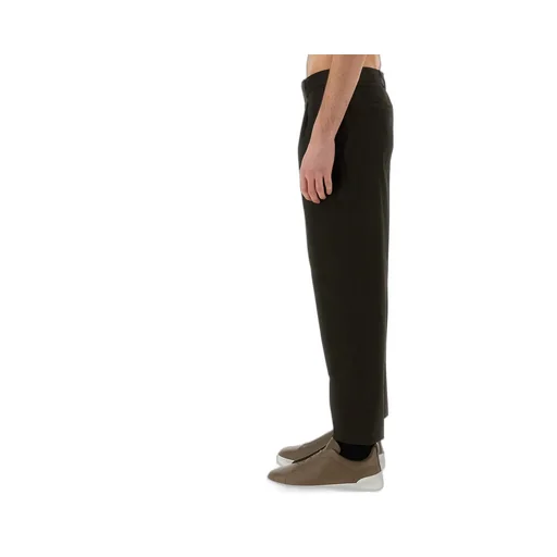 Pleated Cropped Pants