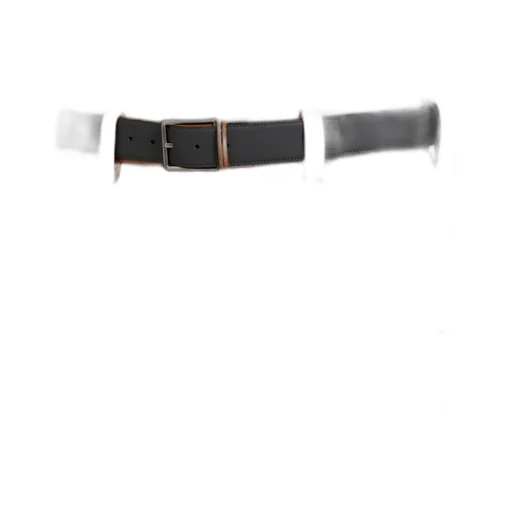 Reversible Buckle Belt