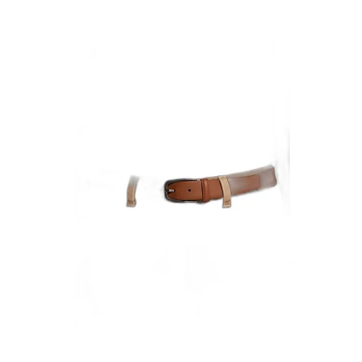 Leather Buckle Belt