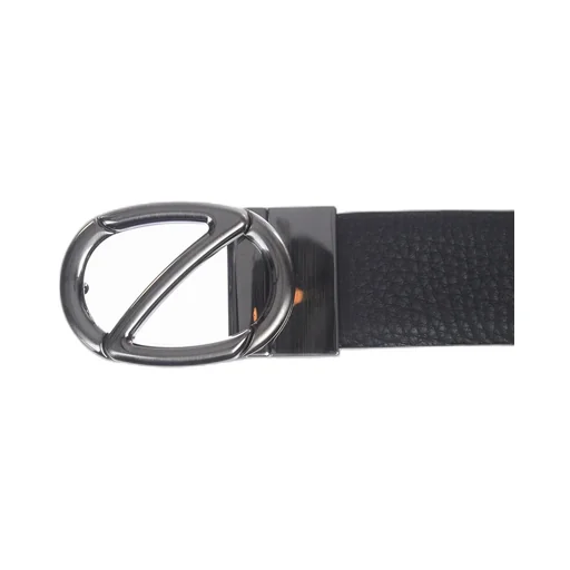 Logo Belt