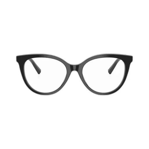 Oval Frame Glasses