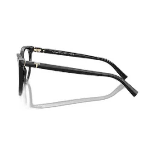Oval Frame Glasses