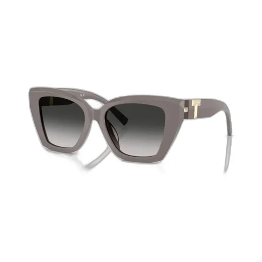 Full Frame Sunglasses