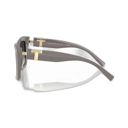 Full Frame Sunglasses