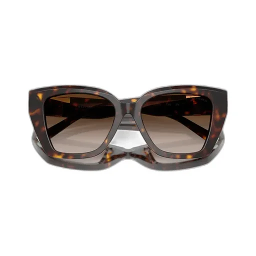 Full Frame Sunglasses