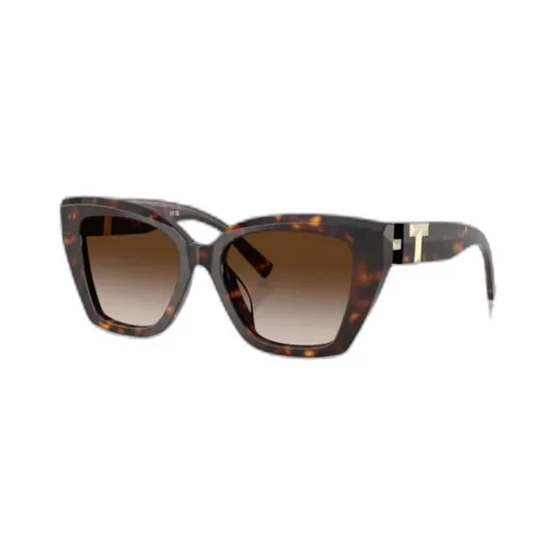 Full Frame Sunglasses