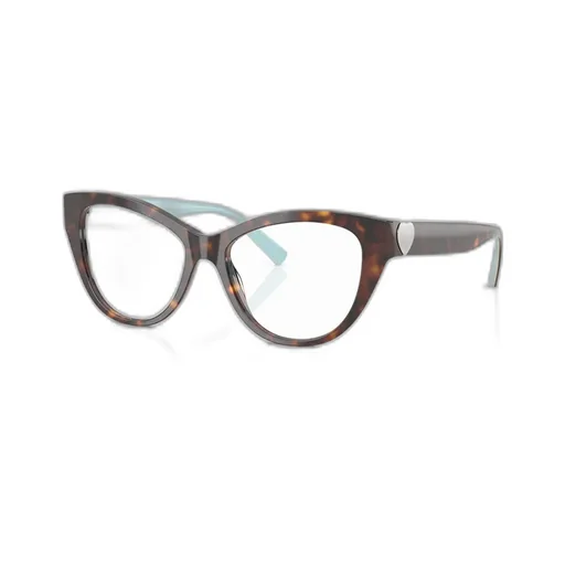 Cat-Eye Frame Glasses