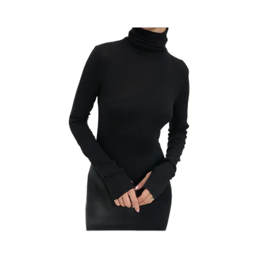 Long Sleeve Turtleneck Dress
