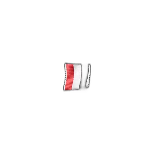 School Uniform Pleated Skirt