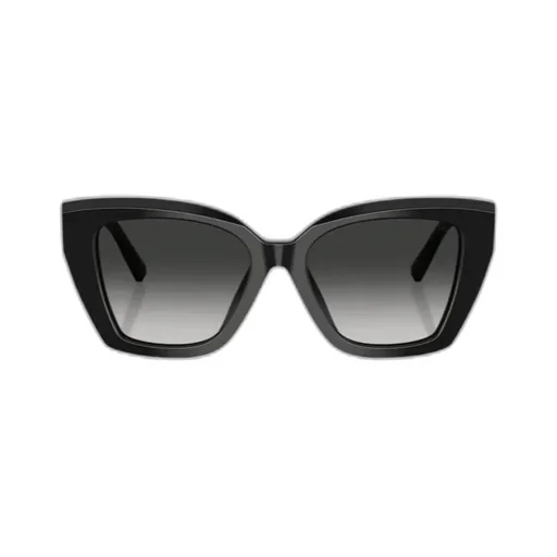 Full Frame Sunglasses