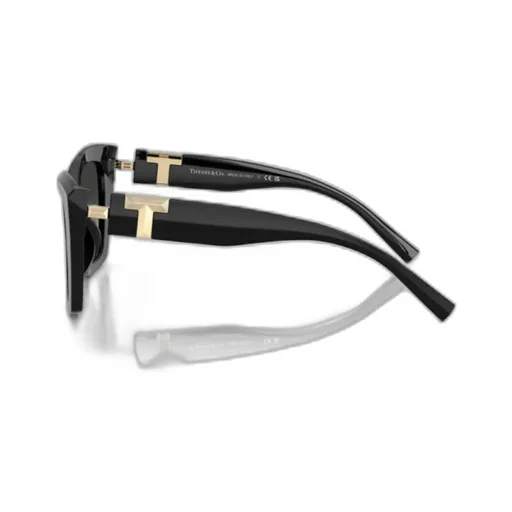 Full Frame Sunglasses