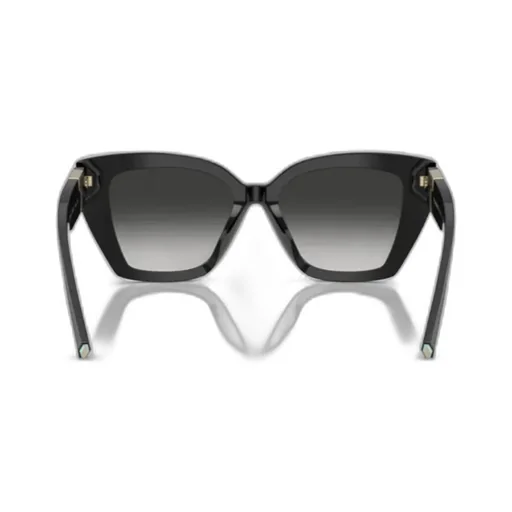 Full Frame Sunglasses