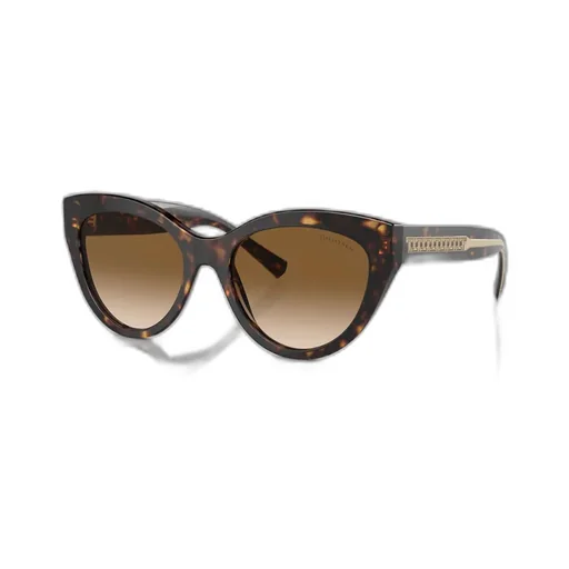 Cat's Eye Frame Sunglasses