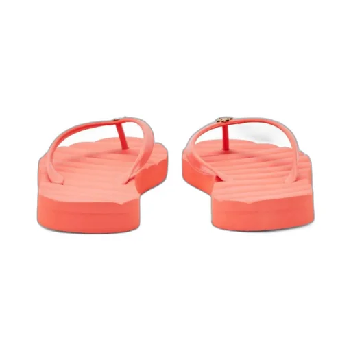 Flip-Flops