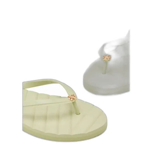 Flip-Flops