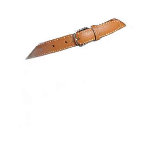 Buckle Belt