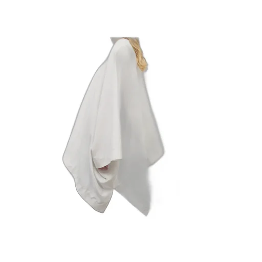 V-Neck Asymmetric Top