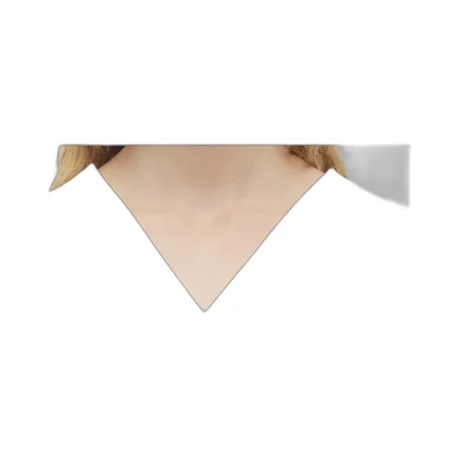 V-Neck Asymmetric Top