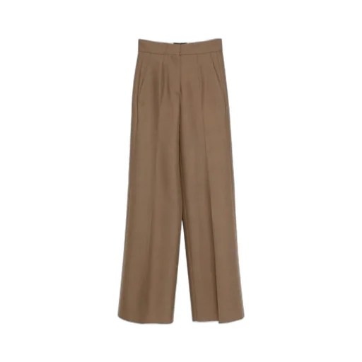 Pleated Pants