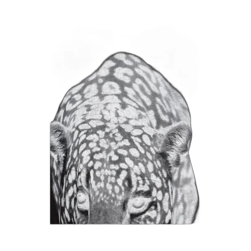 Graphic Printed Crewneck T-Shirt